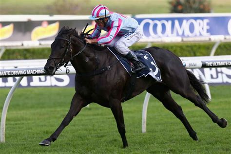 2021 Tatt’S Tiara: Final Field, Barriers And Market .